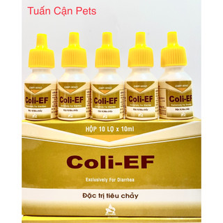 Combo 5lọ Coli EF Tieu chay phan trắng, phan xanh, trên ga đá, heo vat nuôi
