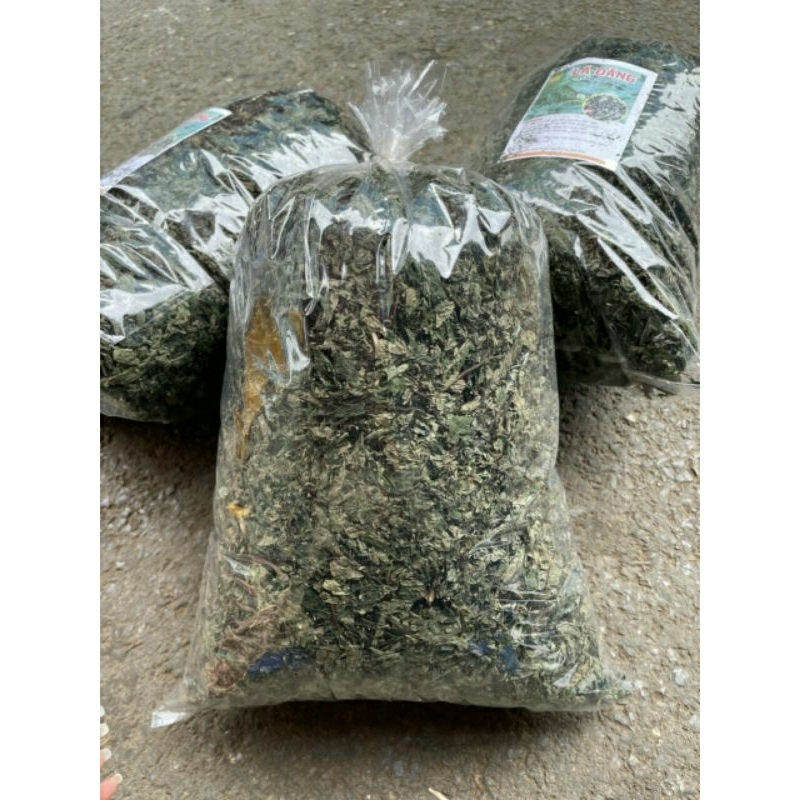 Lá đắng,sỉ lẻ lá đắng,lá cây cơm kìa,lá đắng chuyên dạ dày