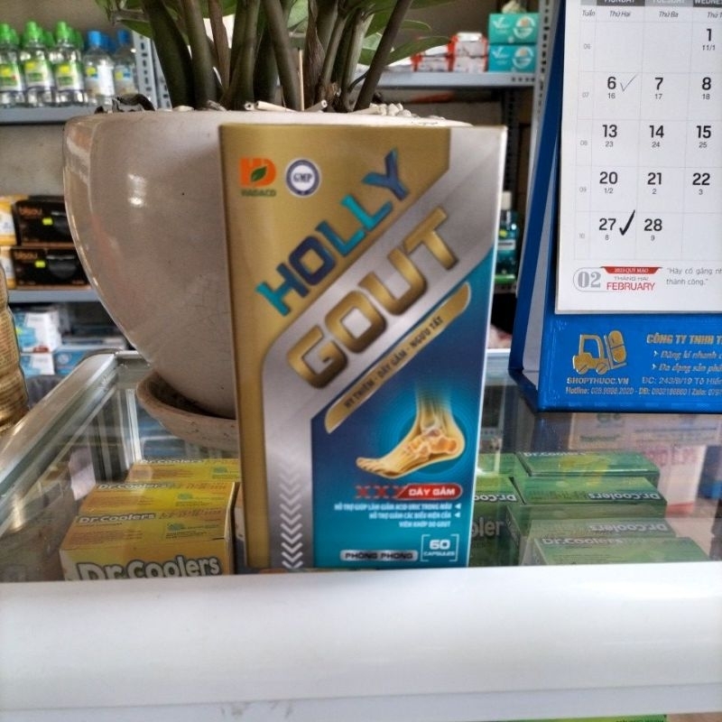 Holly Gout (h/60viên) viên hỗ trợ giảm các biểu hiện của viêm khớp do Gout
