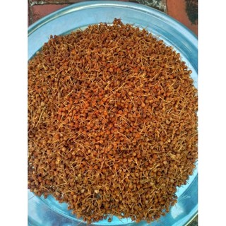 Hạt giống ớt 200 Quả ớt Charapita. làm giống ăn gần 1 lạng