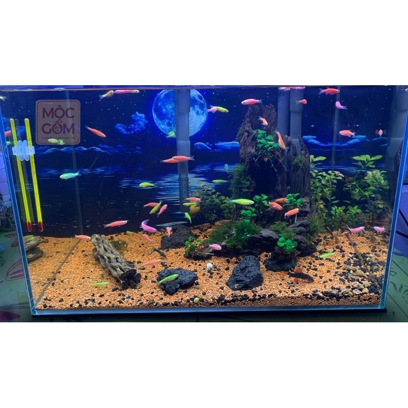 Sạn gốm Ceramic trải nền thủy sinh