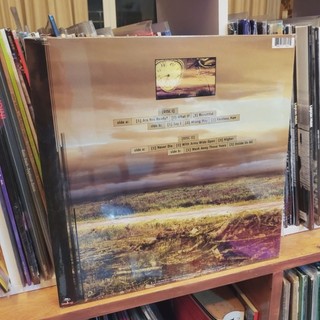 Creed  – Human Clay vinyl