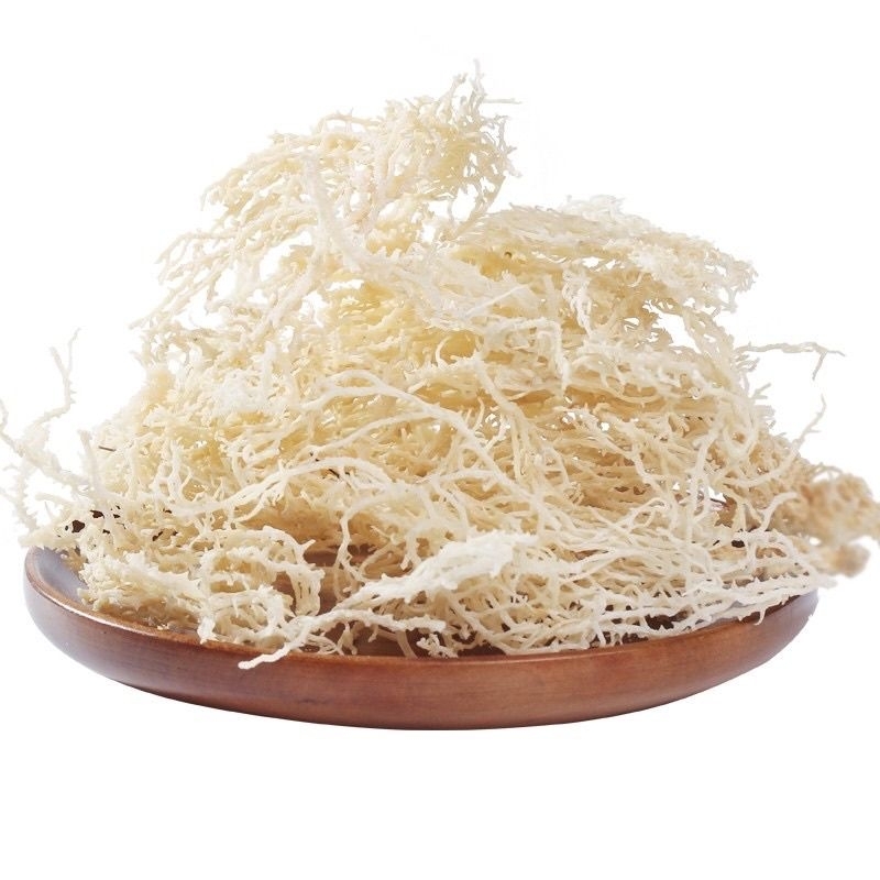 100g Rong sụn muối phơi khô ngâm được 600g rong sụn tươi