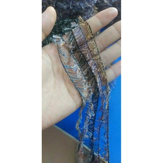 Sét Len Mi Nhiều Loại