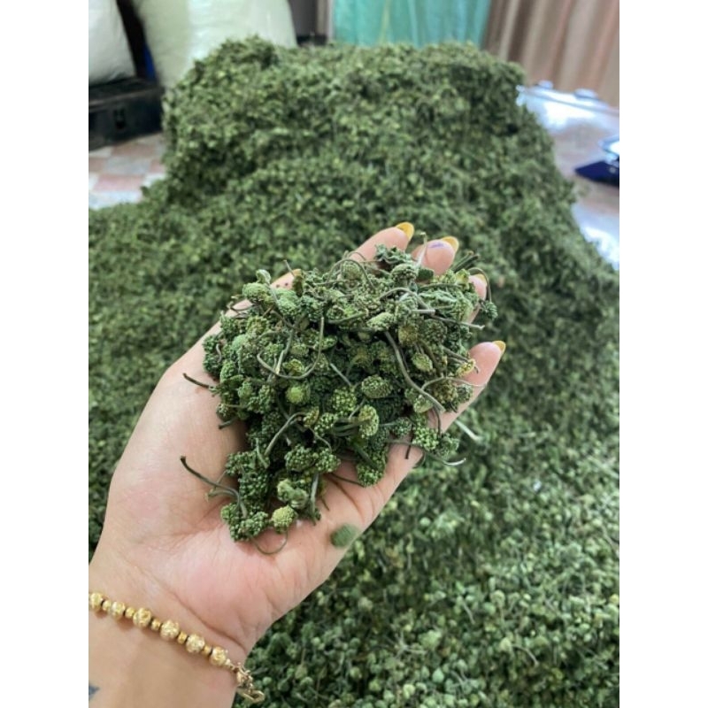 Nụ Hoa Tam Thất Hà Giang 1Kg nụ tam thất, khô hàng chuẩn
