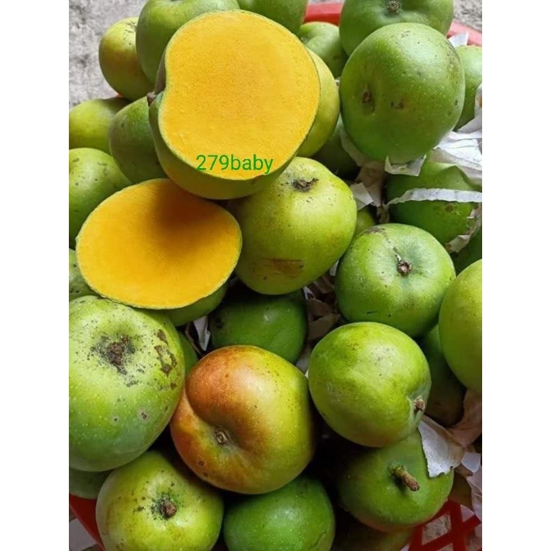 2kg xoài táo CAMPUCHIA ngọt ,chua nhẹ ,chỉ giao lân cận TPHCM