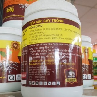 kích thích ra rễ cực mạnh mới