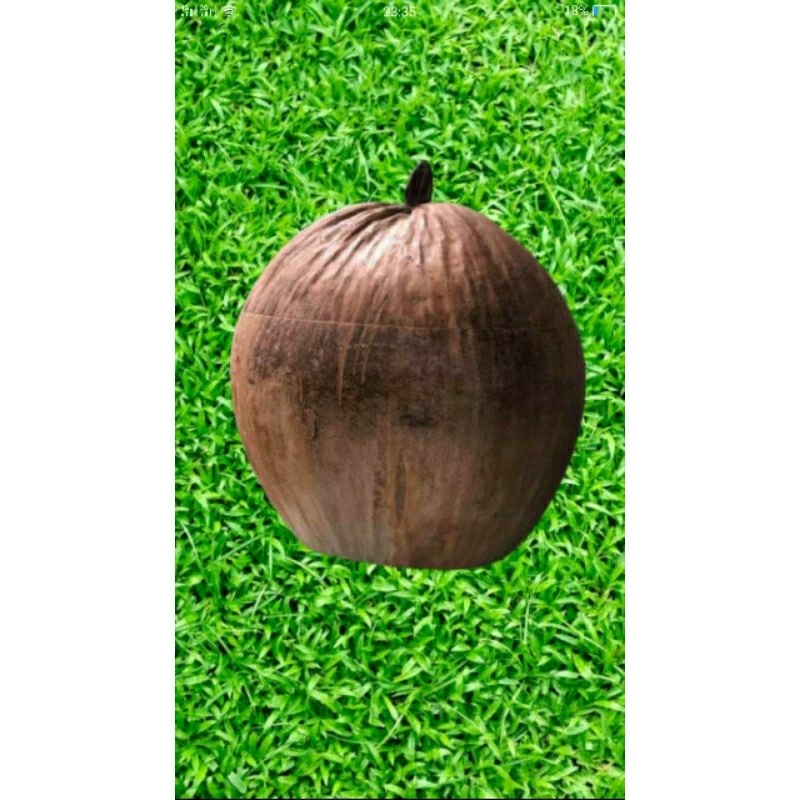Bình ủ trà kèm ấm tích