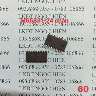 Ic dánn m65831