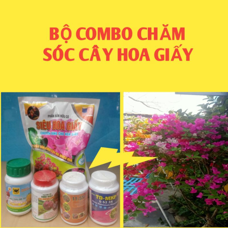 Bộ combo chăm sóc cây hoa giấy