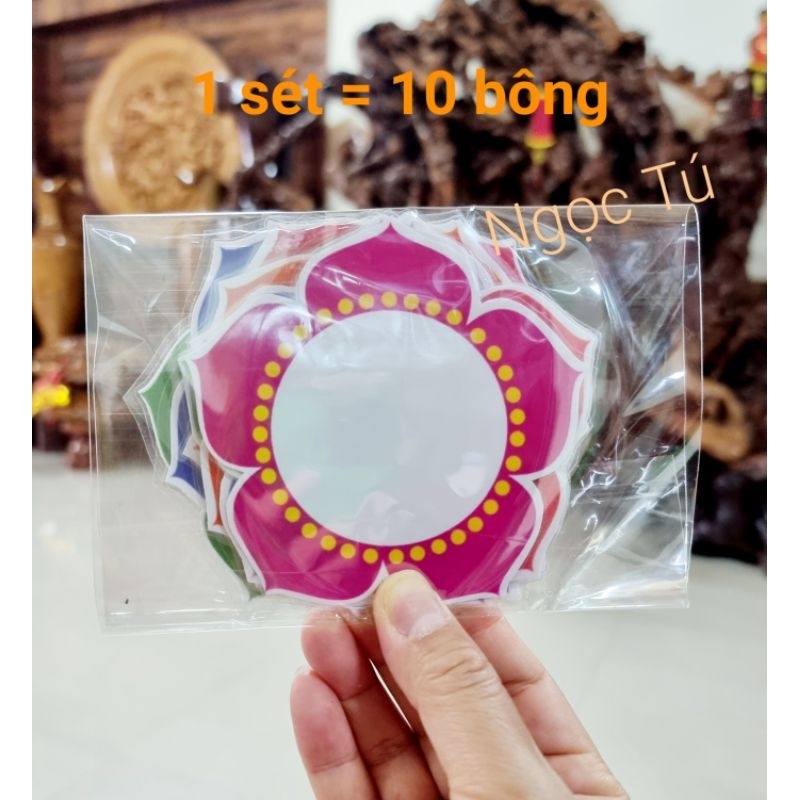 Sét 10 Hoa in màu éplatic 9-10cm viết số, dấu...sẵn nam châm lá.