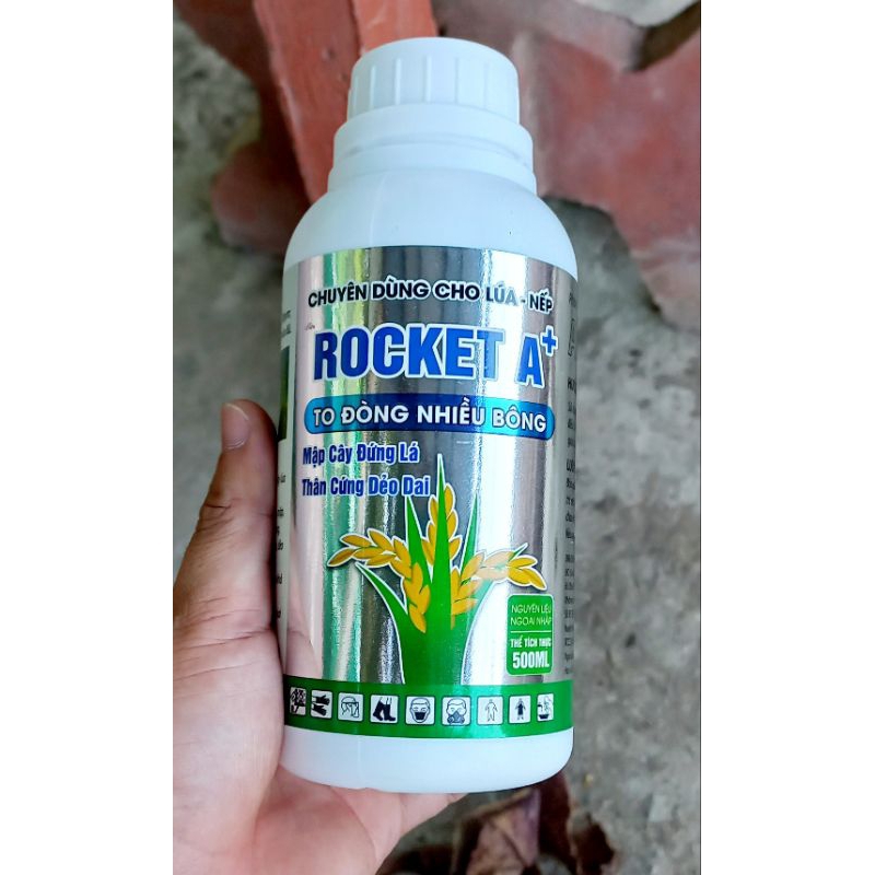 Mập Đòng, Cứng Cây