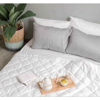 [Cotton lụa satin Hàn Quốc] CHĂN GA GỐI màu trơn T01-T12