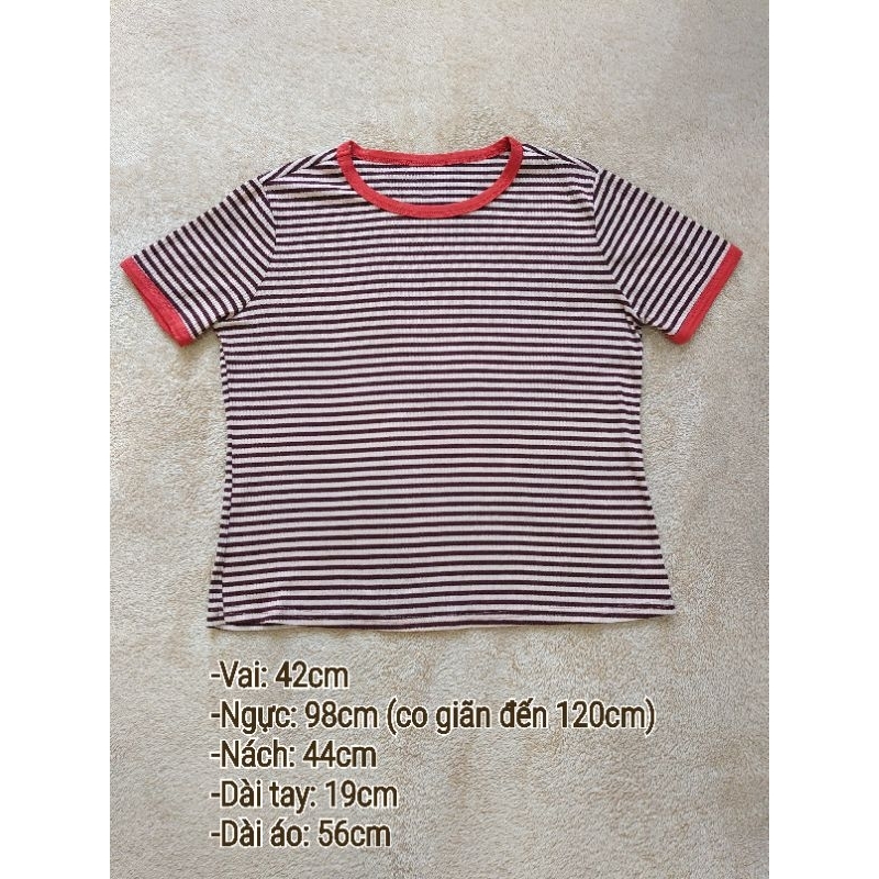 Áo dệt kim nữ sọc gân cổ tròn tay ngắn kẻ sọc ngang màu nâu phối be viền cổ và tay áo (Secondhand/Used/Si tuyển)