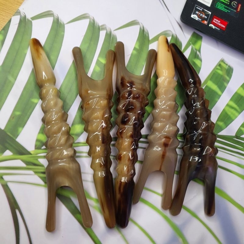 bọ cạp sừng