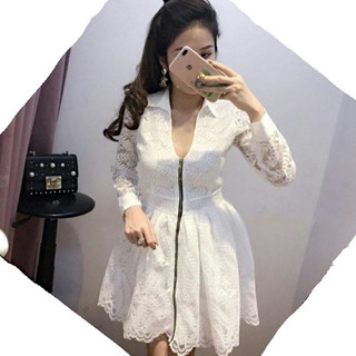 Đầm xòe cổ sơ mi dây kéo đồng VD558