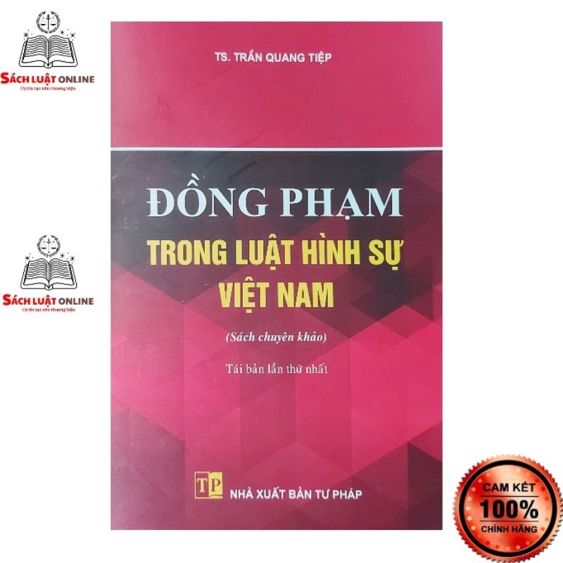 Sách - Đồng phạm trong luật hình sự Việt Nam Tái bản lần thứ nhất