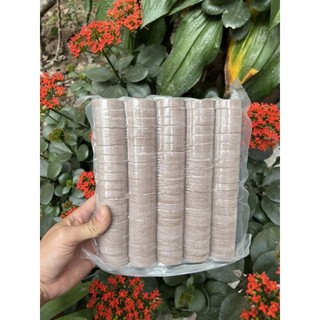 100 Viên nén ươm hạt xơ dừa