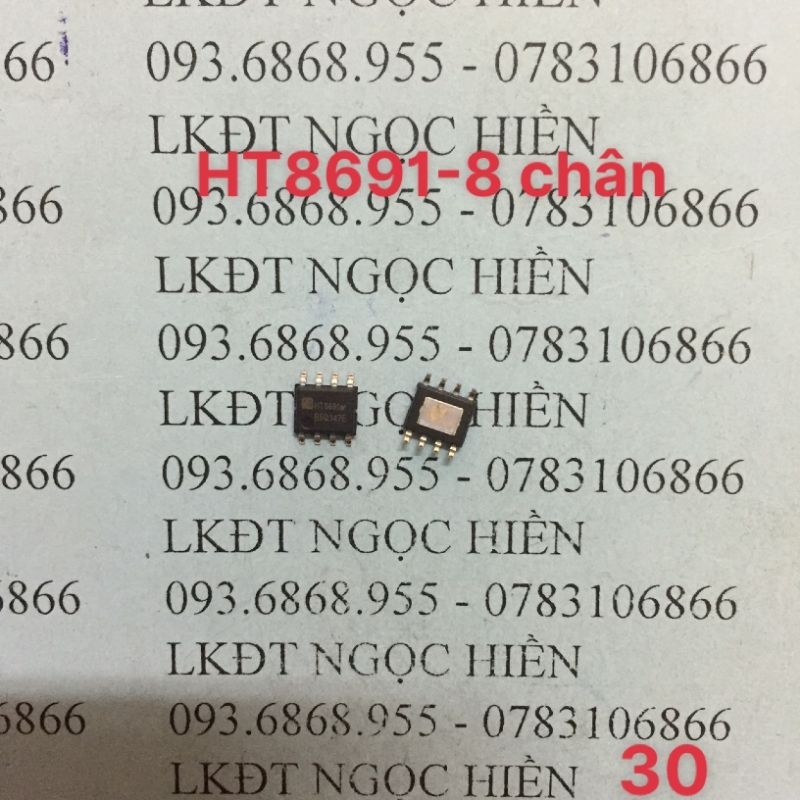 IC Dán HT8691