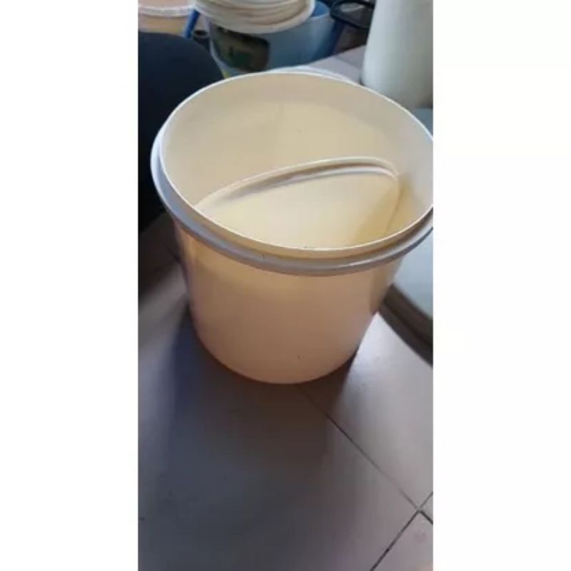 Combo 1 xô–10 cá bảy màu