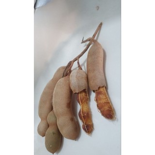 Me Chua Nguyên Vỏ 500g