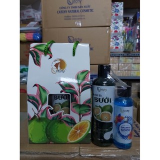 Dầu gội xả bưởi catchy 250ml & 500ml