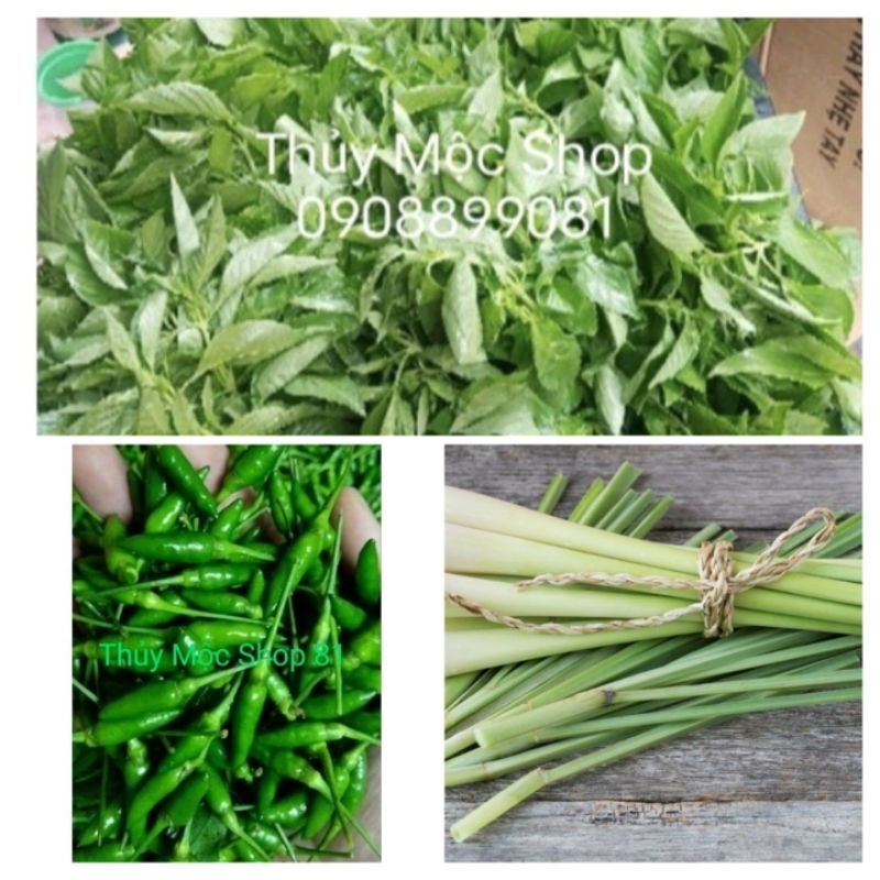 LÁ É TƯƠI PHÚ YÊN: COMBO 1,5 KG NGUYÊN LIỆU LẨU GÀ LÁ É