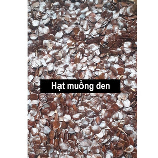 Hạt giống muồng đen túi 50gram