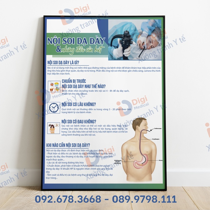 (Tranh Decal Dán) Tranh Nội Soi Dạ Dày Và Những Điều Cần Biết