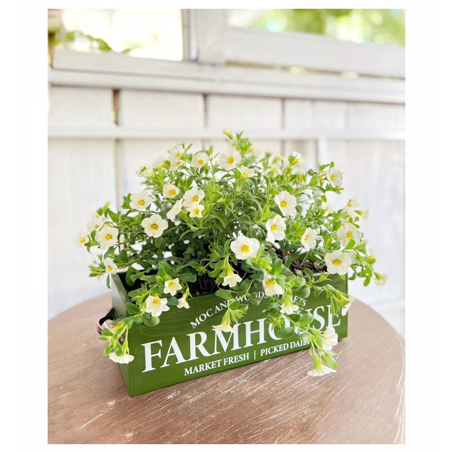 Giỏ hoa Decor Trang Trí Nhà Cửa, Giỏ Gỗ Quai Cầm Vintage Kích Thước 28x14x11cm