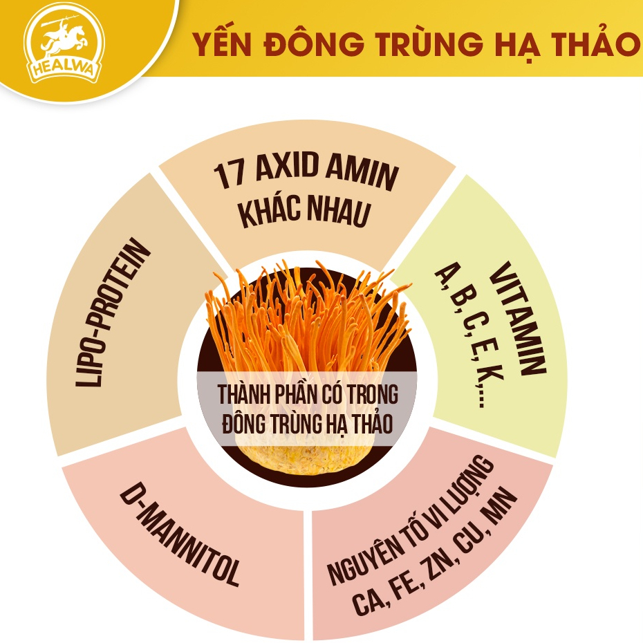 Hộp yến chưng Saffron  Đông trùng hạ thảo Healwa  Tăng cường hệ miễn dịch Ngăn ngừa lão hóa da
