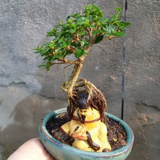 Sam hương mini ÔM TƯỢNG- ÔM ĐÁ
