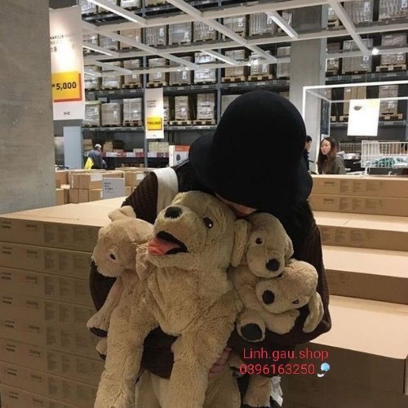 Chó bông Gold Ikea sale