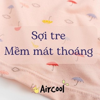 SET QUẦN CHIP AIRCOOL 3 CÁI