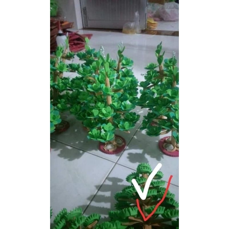 Cây xanh,  Cây ăn quả