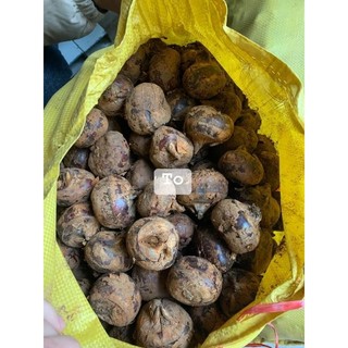 Củ mã thầy - củ năng tươi 1kg ( sỉ sll giá tốt - LH 0983609050)