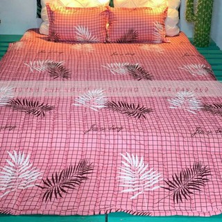 [SALES] SET 3 MÓN GA (DRAP) + GỐI POLY COTTON TRƠN 1M6, 1M8