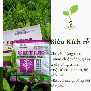 Siêu kích rễ