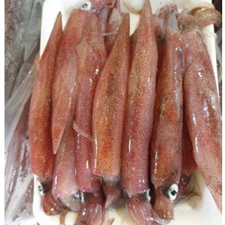 mực trứng/mực ghim trứng khay 1kg❤️Tmart - Thực phẩm sạch