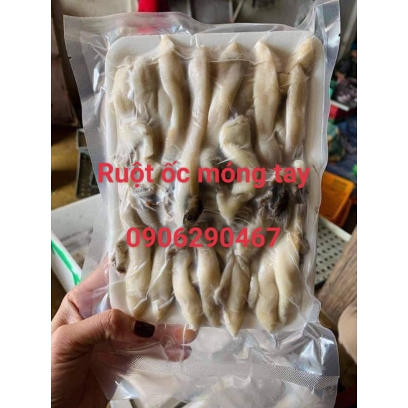Ruột ốc móng tay 500gr ❤HÀ NỘI SHIP HOẢ TỐC ❤ ốc móng tay ngon giòn dễ chế biến như: ốc móng tay xào tỏi, mì, thả lẩu