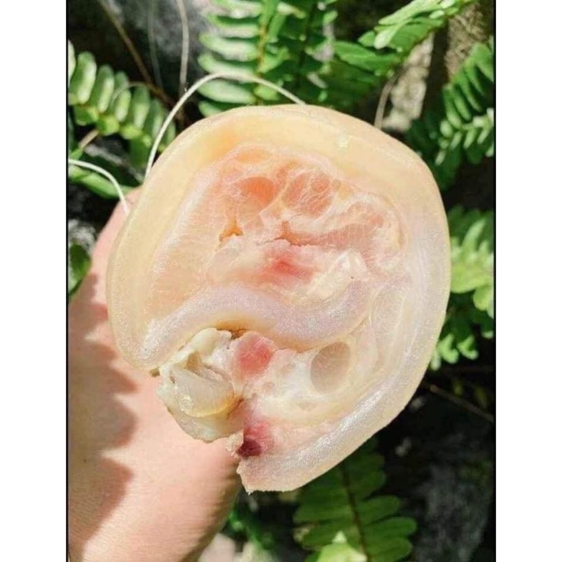 79k 1kg Vó Heo Rút Xương