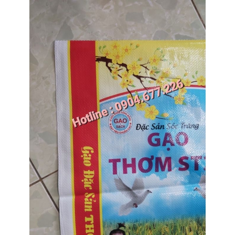 Bao đựng gạo ST21 10kg