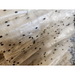 [TẾT 2026]BÁNH TRÁNG MIỀN TRUNG [ĐẶC SẢN]