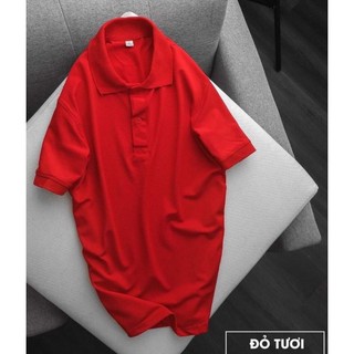 Sỉ phôi Áo Polo 55k