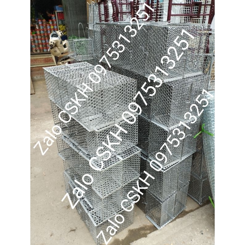 Bẫy mèo hoang chồn sóc động vật thép dày