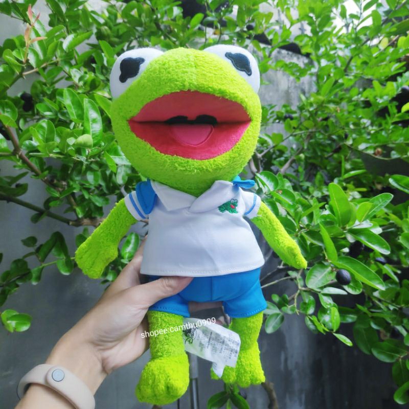 Gấu bông ếch Kermit meme màu xanh