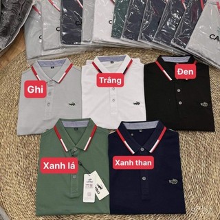 Áo polo nam