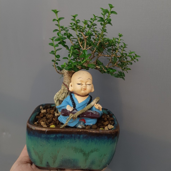 Sam hương mini ÔM TƯỢNG- ÔM ĐÁ