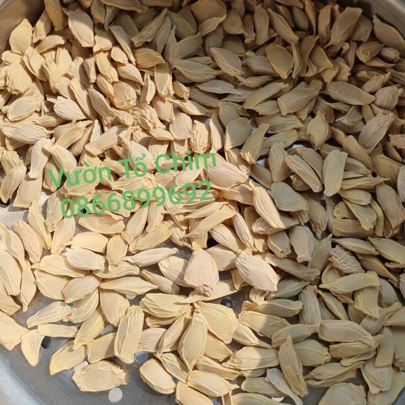 Hạt Bưởi Sạch Khô làm trà thuôc  - Gói 50 hạt