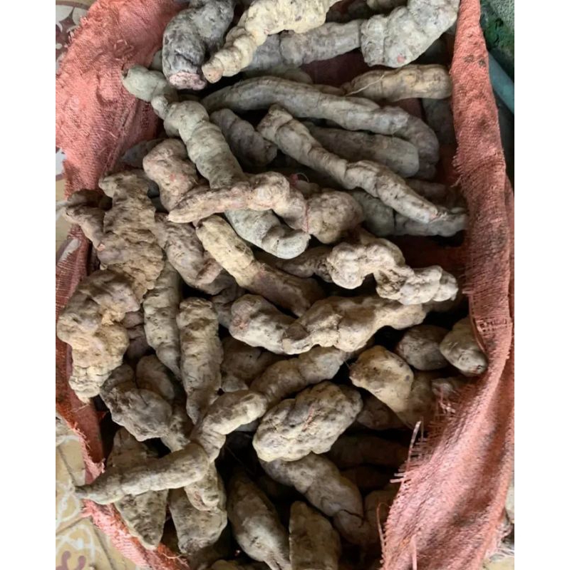HÀ THỦ Ô ĐỎ HÀNG RỪNG TƯƠI, HÀ THỦ Ô TÂY BẮC TƯƠI ( loại 3 củ/1kg tươi)